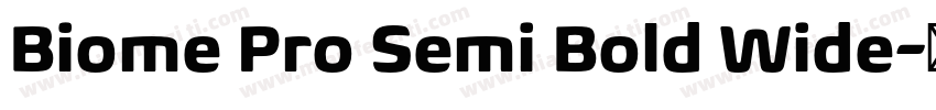 Biome Pro Semi Bold Wide字体转换